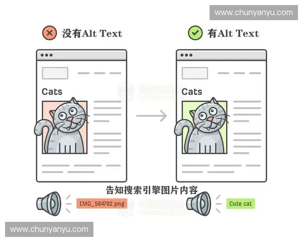 赛事总结流程解析与优化:从数据收集到策略调整的全面指南