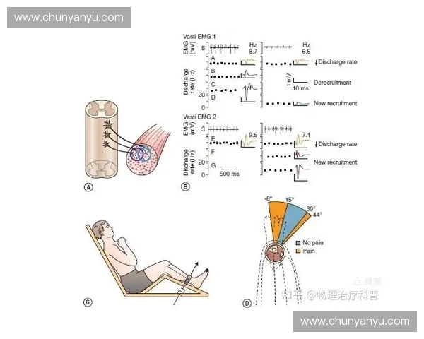 运动损伤的预防与康复策略探析及其对运动表现的影响